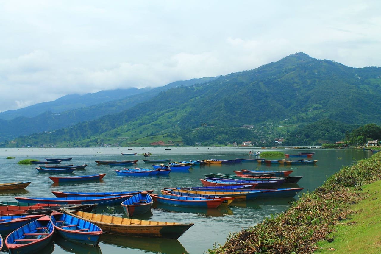 Pokhara City Tour – 1 Day image 4