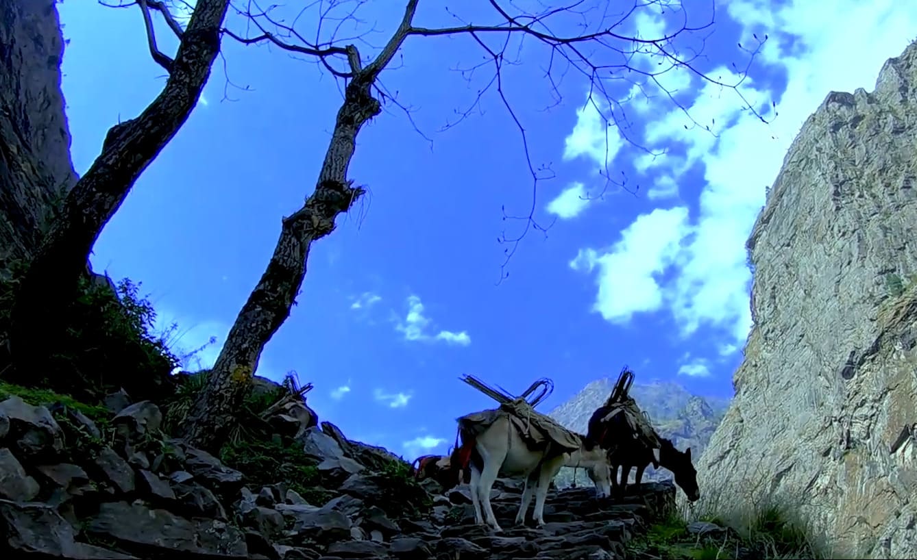 Short Manaslu Circuit Trek - 12 Days image 2